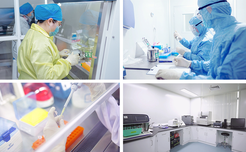 江蘇默金生物工程技術 創新驅動，引領生物技術研發前沿