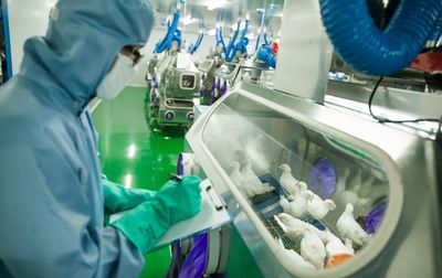 新舊動能轉換新引擎 市北生物技術研發(fā)中心投入使用，科技創(chuàng)新集聚效應初顯