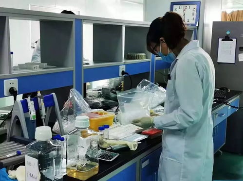 聚青力戰(zhàn)疫情 天津青年技術推廣行動紀實