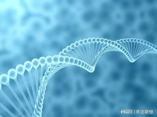 寒冬中的反思 生物科技行業資本冷遇與技術推廣的困境