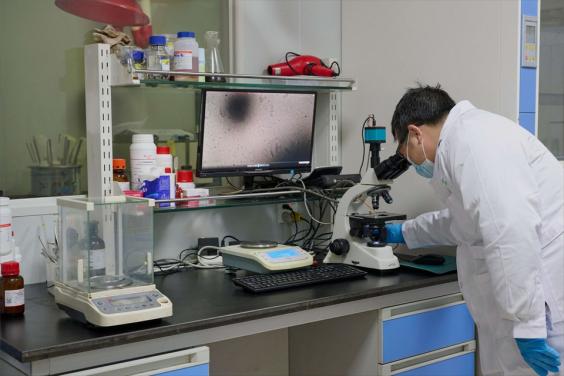 “以生物造萬物”風口之下 合成生物產業化正迎來破曉時刻