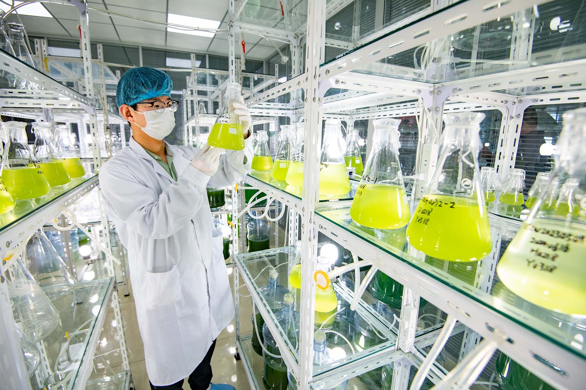 德州地福來生物科技:研發與推廣并重 微藻肥田10萬畝